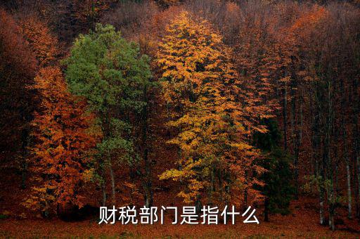 財稅征收保障網(wǎng)是什么，財稅部門是指什么