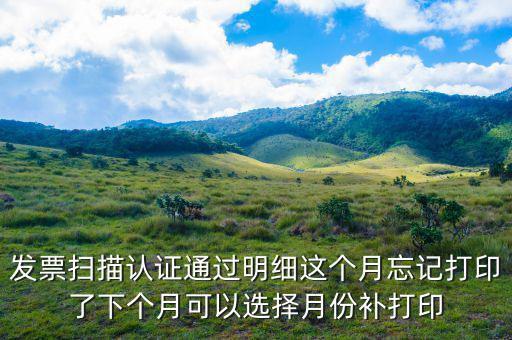 發(fā)票掃描認(rèn)證通過明細(xì)這個月忘記打印了下個月可以選擇月份補(bǔ)打印