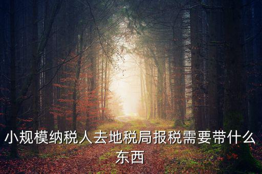 上門申報附加稅要帶什么資料，去地稅局繳納營業(yè)稅金及附加需要帶什么資料