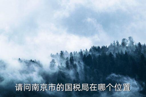 江蘇國(guó)稅總局在南京什么地方，南京的國(guó)稅局和地稅局分別在哪里