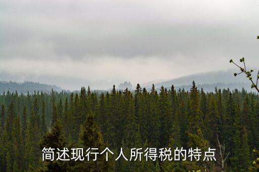 簡述現(xiàn)行個人所得稅的特點(diǎn)