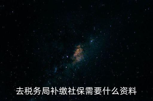 去稅務局補繳社保需要什么資料
