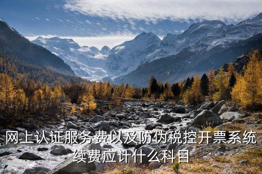 網上認證服務費以及防偽稅控開票系統續(xù)費應計什么科目