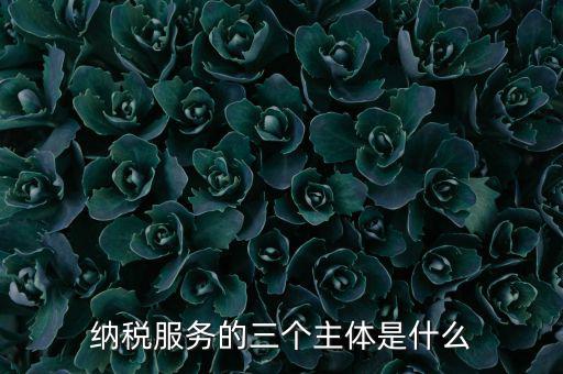 納稅服務(wù) 是什么，納稅服務(wù)的三個(gè)主體是什么