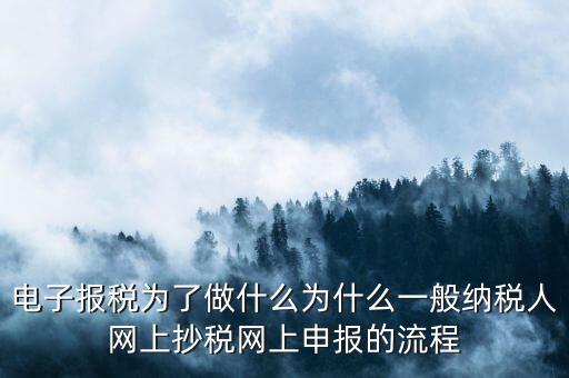 電子稅務申報是什么來的，電子申報納稅是怎么回事給報送紙質申報材料一樣嗎