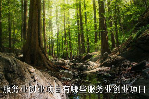 服務(wù)業(yè)有什么進(jìn)項(xiàng)，服務(wù)業(yè)營(yíng)改增哪些可以抵扣