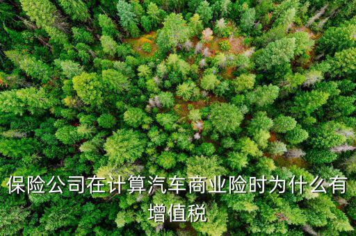 車輛保險(xiǎn)增值稅是什么意思，保險(xiǎn)公司在計(jì)算汽車商業(yè)險(xiǎn)時(shí)為什么有增值稅