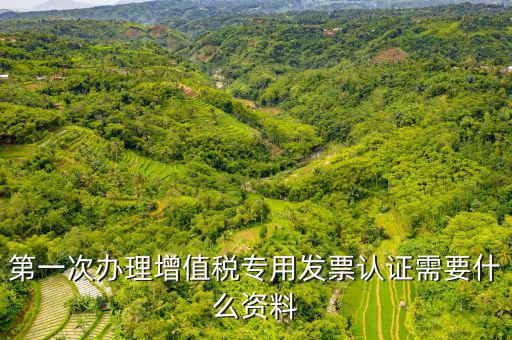發(fā)票認(rèn)證需要注意什么手續(xù)，第一次辦理增值稅專用發(fā)票認(rèn)證需要什么資料