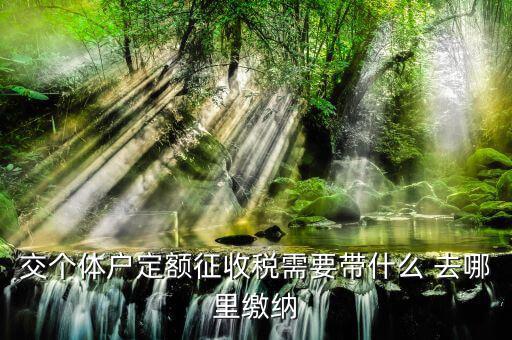 個(gè)體戶定額需要準(zhǔn)備什么，交個(gè)體戶定額征收稅需要帶什么 去哪里繳納