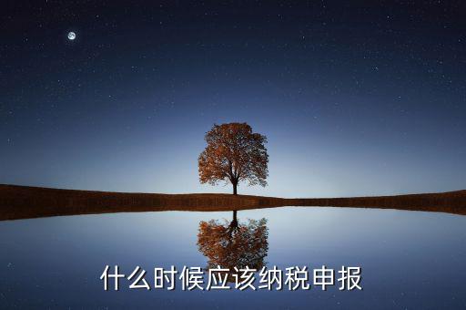 消費(fèi)稅什么時(shí)候申報(bào)，什么時(shí)候應(yīng)該納稅申報(bào)
