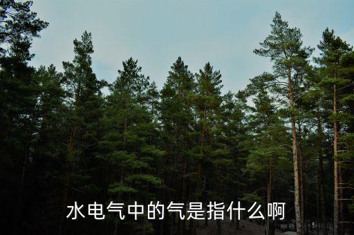 水電氣退稅氣指什么，公租房的水電氣的氣是指什么
