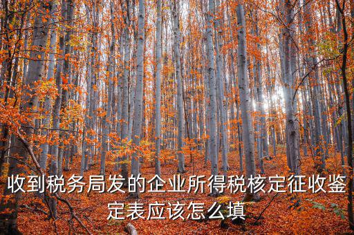 去稅務局核定征收填什么，核定征收企業(yè)報所得稅在去稅務局核定時需要拿什么資料