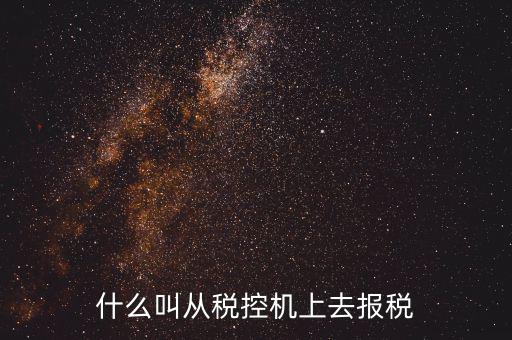 什么是稅控機的即時申報，稅控機申報記錄甚么意思