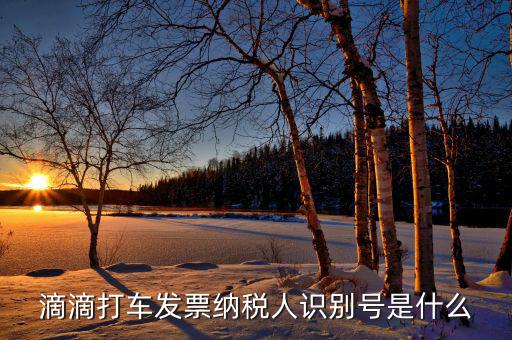 稅優(yōu)識(shí)別號(hào)是什么，滴滴打車(chē)發(fā)票納稅人識(shí)別號(hào)是什么