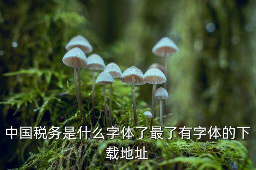 中國稅務(wù)是什么字體，中國稅務(wù)是什么字體了最了有字體的下載地址