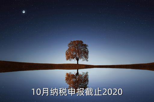 10月申報(bào)期到什么時(shí)候，2021年十月份報(bào)稅期延遲到幾號