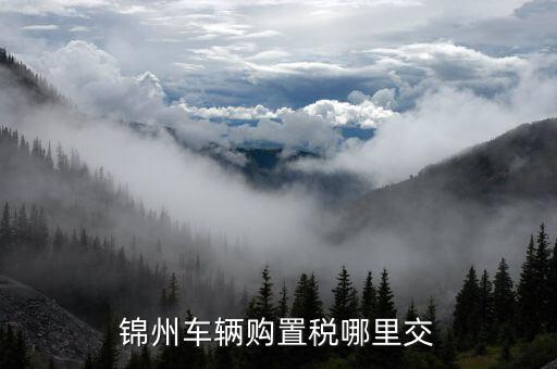 錦州國(guó)稅局車輛購(gòu)置部門是什么，錦州機(jī)動(dòng)車購(gòu)置稅在哪里交