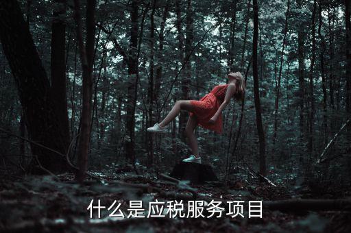 什么事納稅服務，什么是應稅服務項目