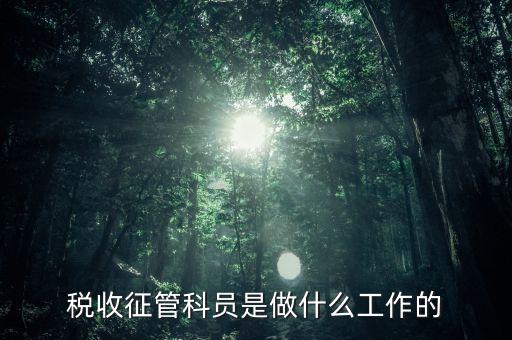 國(guó)稅局征管員和企業(yè)要做什么，稅收征管的公務(wù)員主要做什么工作