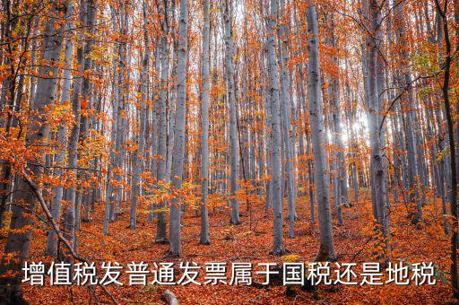 普通發(fā)票是什么稅，普通發(fā)票是國(guó)稅發(fā)票嗎