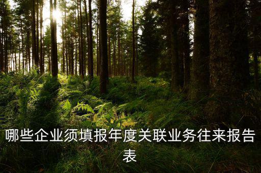 哪些企業(yè)須填報(bào)年度關(guān)聯(lián)業(yè)務(wù)往來(lái)報(bào)告表