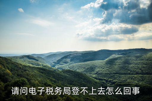 貴州省電子稅務(wù)局為什么進(jìn)不去，請問電子稅務(wù)局登不上去怎么回事