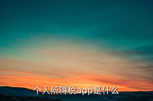 網上交稅要下載什么東西，個人所得稅官網登錄企業(yè)個人所得稅要下載什么端口申報