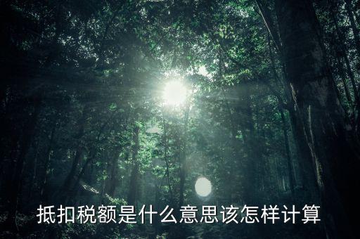 抵扣稅額是什么意思該怎樣計(jì)算