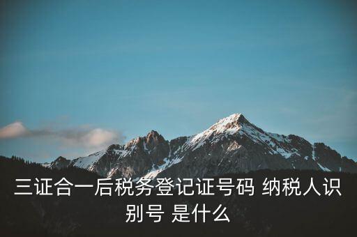 三證合一納稅識(shí)別號(hào)是什么，三證合一后納稅人識(shí)別號(hào)是什么意思
