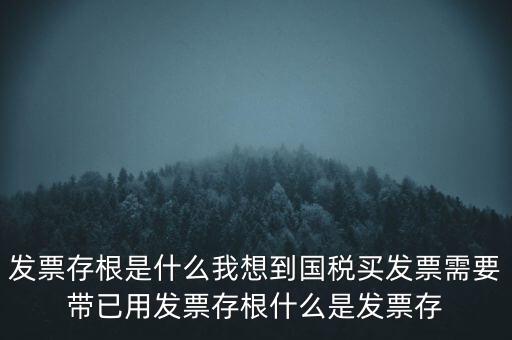 發(fā)票電子存根是什么，發(fā)票存根是什么