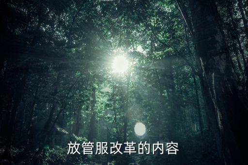 稅務放管服的內(nèi)容是什么，放管服改革的內(nèi)容