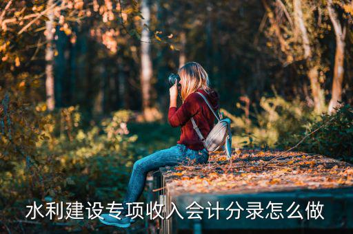水利建設(shè)專項收入是什么，水利建設(shè)專項收入會計分錄怎么做