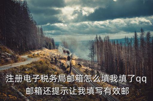 注冊(cè)電子稅務(wù)局郵箱怎么填我填了qq 郵箱還提示讓我填寫(xiě)有效郵