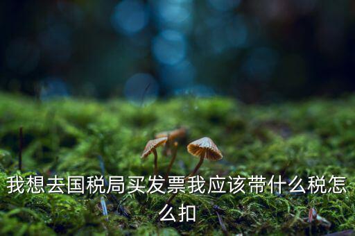 去國稅局扣稅需帶什么，我想去國稅局買發(fā)票我應(yīng)該帶什么稅怎么扣