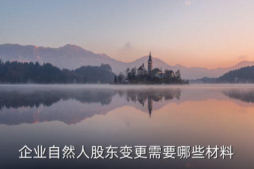變更自然人登記業(yè)務需要帶什么，企業(yè)自然人股東變更需要哪些材料