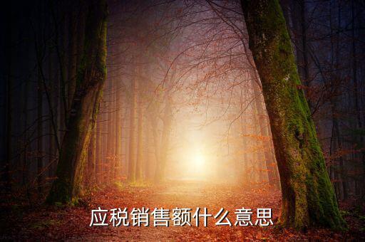 稅務(wù)銷售額是什么意思，年應(yīng)稅銷售額是什么意思