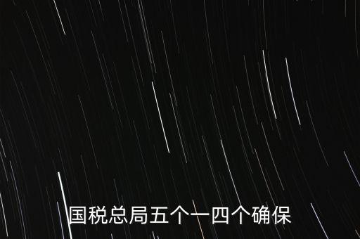 稅務(wù)局五個(gè)一是什么時(shí)候，國稅總局五個(gè)一四個(gè)確保