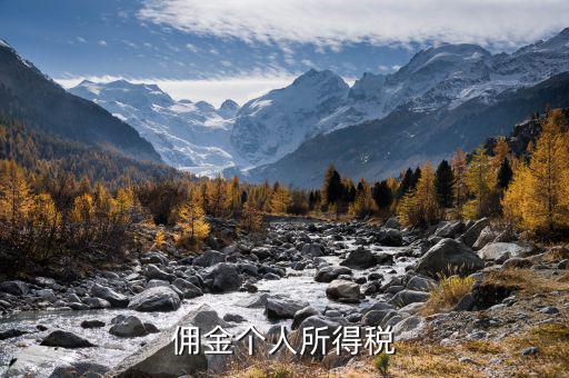 傭金繳納什么稅，傭金個(gè)人所得稅