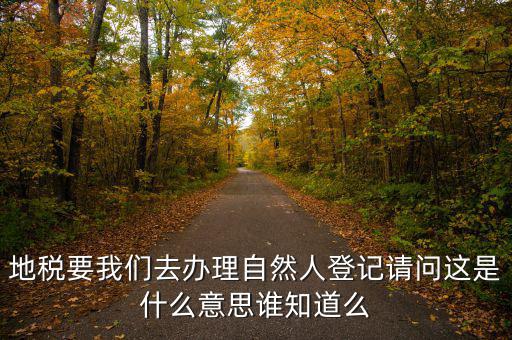 辦稅自然人登記是什么意思，申請人為自然人的是什么意思