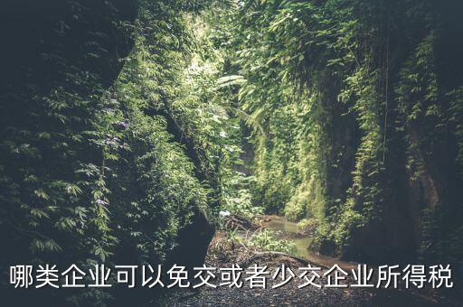 什么情況下企業(yè)可以減免稅收，哪類企業(yè)可以免交或者少交企業(yè)所得稅