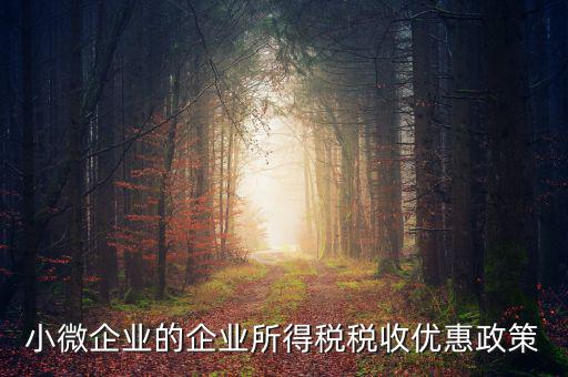稅務(wù)小微企業(yè)稅收優(yōu)惠是什么，小微企業(yè)的企業(yè)所得稅稅收優(yōu)惠政策