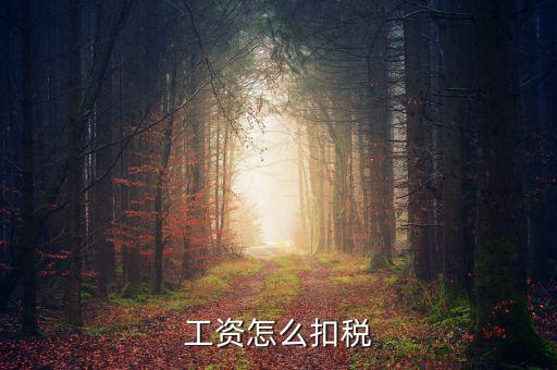 員工工資中的稅是按什么扣的，工資怎么扣稅