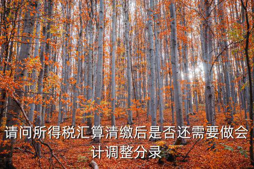 請問所得稅匯算清繳后是否還需要做會計調整分錄
