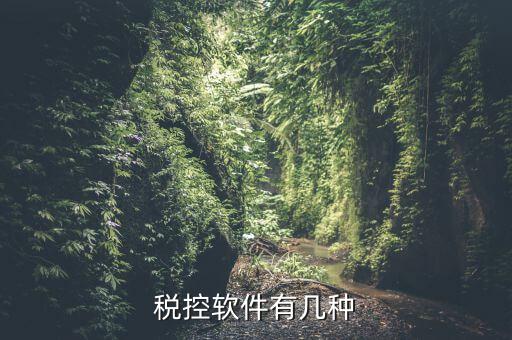 控稅軟件針對什么，稅控軟件有幾種