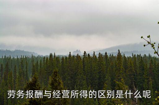 什么是經(jīng)營(yíng)所得，個(gè)體工商戶的生產(chǎn)經(jīng)營(yíng)所得是指什么