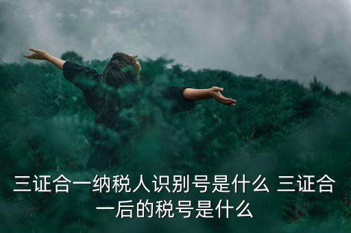 三證合一后稅號是什么，三證合一納稅人識別號是什么 三證合一后的稅號是什么