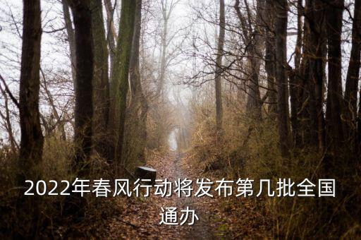 2022年春風(fēng)行動(dòng)將發(fā)布第幾批全國通辦