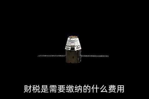 財(cái)稅費(fèi)是什么，財(cái)稅是需要繳納的什么費(fèi)用