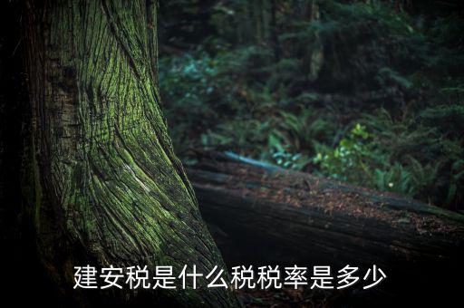建安稅按什么征，營(yíng)改增后建安稅稅種稅率有哪些
