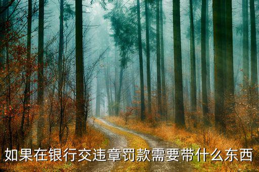 銀行端查詢繳款需帶什么，銀行端查詢繳稅業(yè)務如何辦理